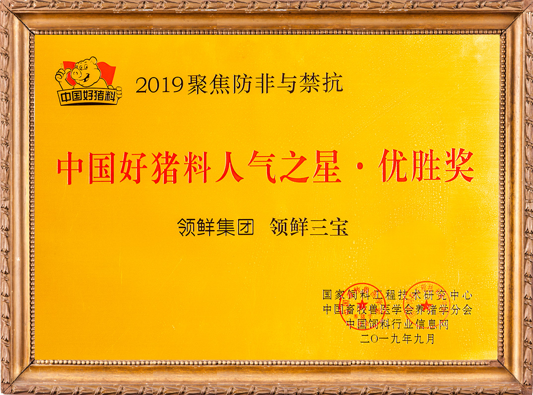 中國(guó)好豬料人氣之星