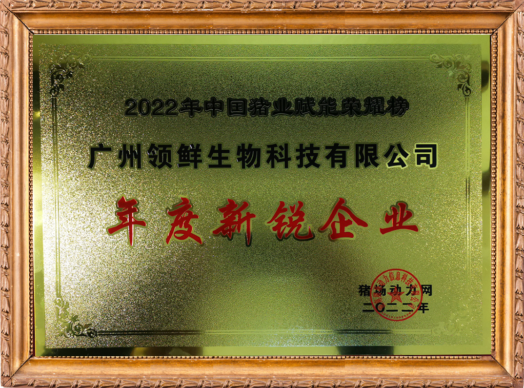 年度新銳企業(yè)