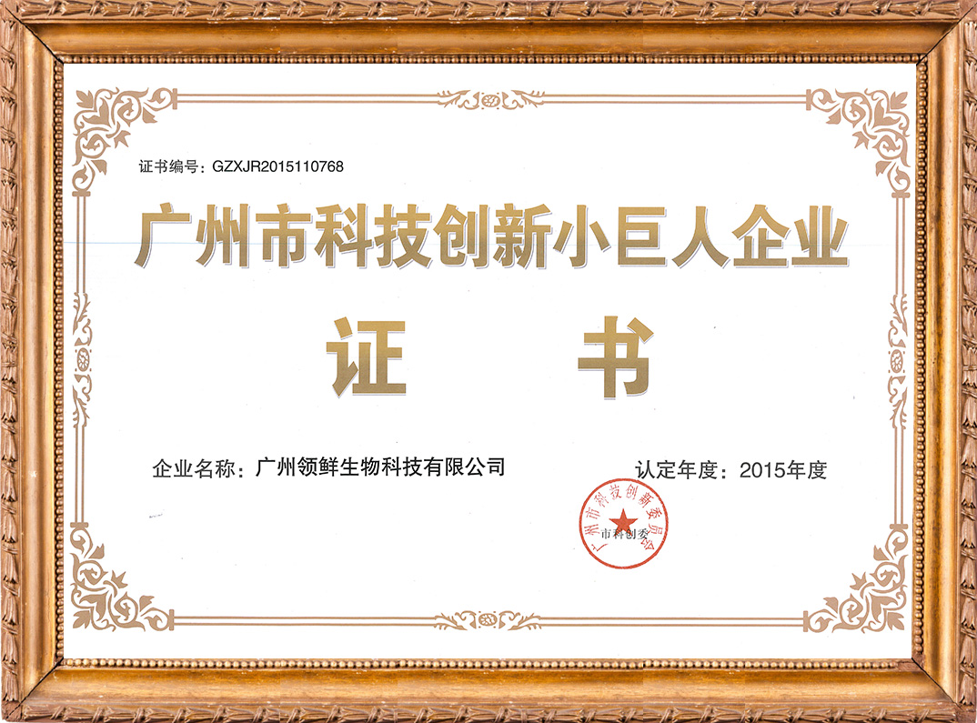 科技創(chuàng)新小巨人