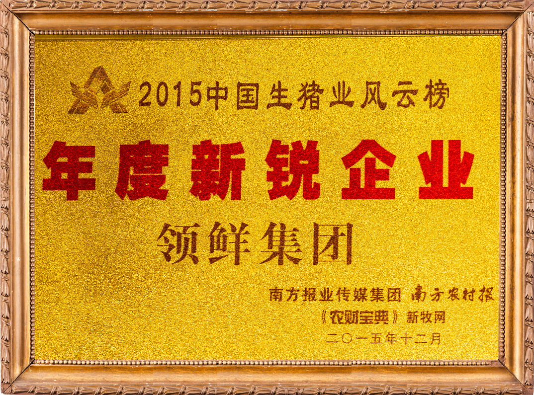 年度新銳企業(yè)