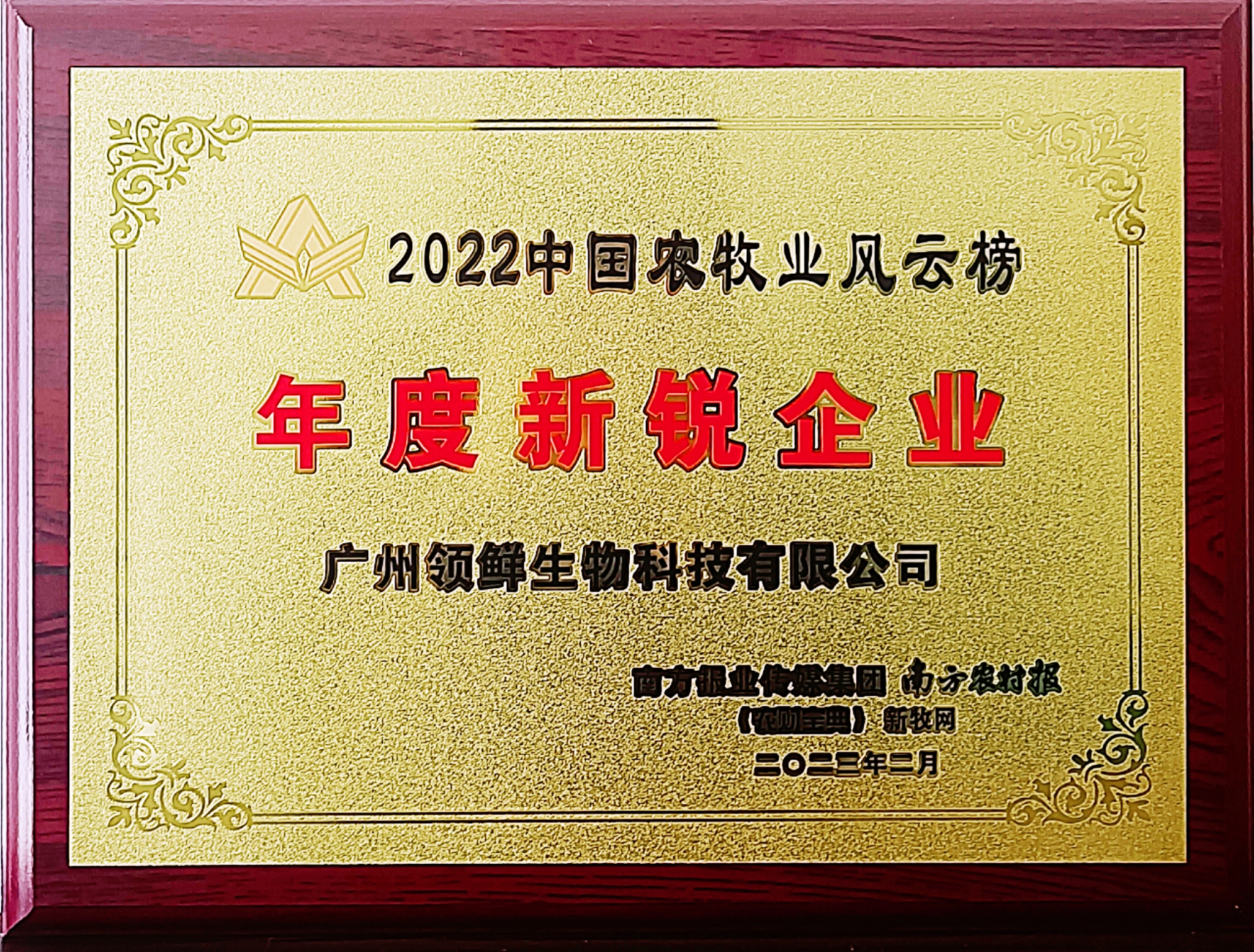 年度新銳企業(yè)